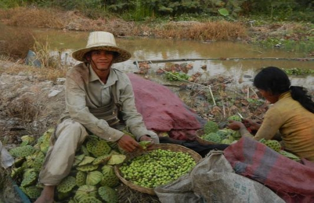 farming cambodia, trekking adventures,